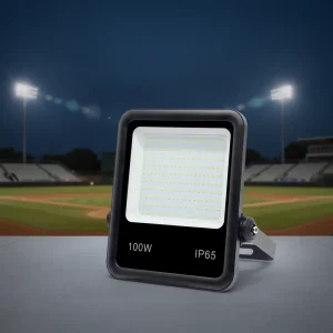Factory 5000K Daylight 100W Floodlight IP65 Outdoor For Stadium Garden Building Billboard Lighting Energy Saving