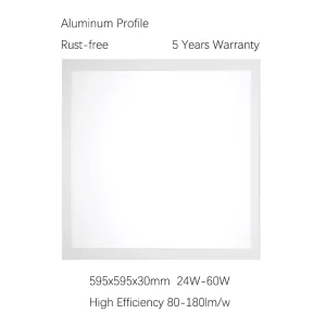 Factory Commercial LED Recessed Panel Light 2x2ft 1x4ft 40W 4000lm 48W 4800lm 4100K Aluminum Profile 5-Year Warranty
