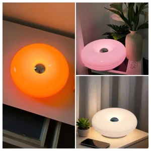Factory Direct 22.5CM Small Donut Shaped Lamp LED Wall Mounted Lamp Surface Mounted Wall Sconce with Touch Sensor