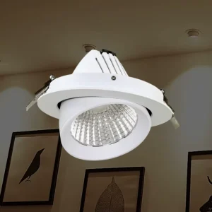 Factory Direct Retractable Eyeball Gimble Spotlight for Global Hotel Retail Commercial Interior Ceiling Decor Lamp