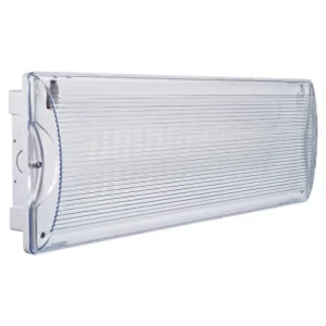 Factory IP65 Rechargeable 5W Bulkhead Surface Recessed Saudi Jordan Nigeria Ghana Italy Spain LED Emergency Light