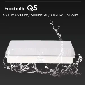 Factory Price IP65 LED Emergency Bulkhead Light Maintained 120 Mins Battery Backup LiFePO4 Self Contained Lamp 5 Year Warranty