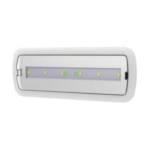 Factory Price LED Emergency Lights Emergency Bulkhead Light With Rechargeable Battery Recessed and Surface Mount
