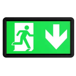 Factory Price Rechargeable LED Emergency Exit Light with 220V AC Input for Indoor Use in Hospitals