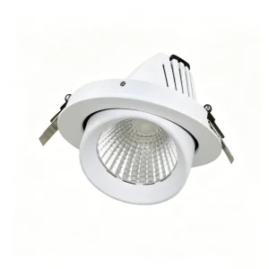 Factory Swingable Eyeball Recessed Downlight Telescopic Rotatable Spotlight for Global Commercial Interior Project