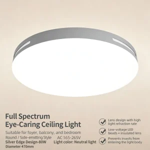 Fashion Style Decorative Home Lighting Home Office Modern Design LED Surface Mounted Metal Ceiling Lamp IP33 Rated