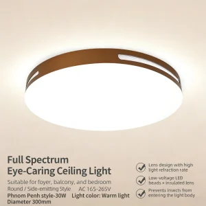 Fashion Style Decorative Home Lighting Home Office Modern Design Round Led Metal Pendant Ceiling Lamp
