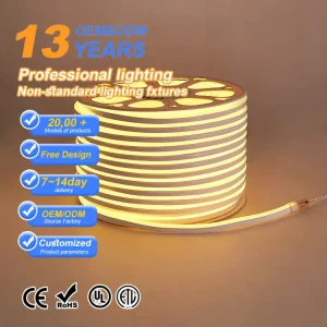 Flexible Smart RGB LED String Lights with Remote Control USB PVC Body Outdoor Decoration Commercial Exterior House