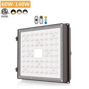Flicker Free Explosion Proof 10KV 20KV Gas Station Led Canopy Light ETL FCC SAA BIS 60w 80w 100w120w 140w 200w