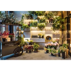 Flower Kiosk Florist 3D Design Nursery Store Design Customize Simple Green Furniture for Sale