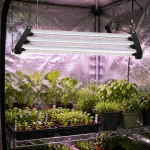 Full Spectrum Foldable Professional LED Culture Lamp Lm301 Lm281B Lm561C 630W 800W 1000W