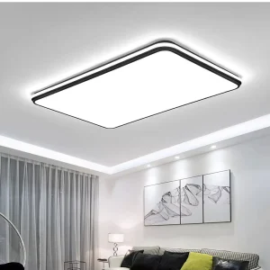 Full Spectrum Living Room Light Home Decoration Lighting Modern Simple Hall Main Lamp Minimalist Rectangular Ceiling Light
