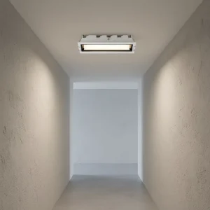 GS Certified Aluminum Multi-Head COB LED Indoor Spotlight 15W 220V Anti-Glare IP54 Ra95 CRI 3500K-6000K
