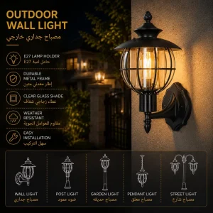 Globe Cage Outdoor Wall Lantern with Clear Glass for Villa Entrances
