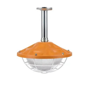 Heavy Duty Cast Iron LED Explosion Proof Light 50W 100W 200W Industrial Workshop Lamp with Wire Cage Guard