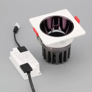 High Brightness 2×10 Double Heads Aluminum Modern IP54 Ceiling LED Spot Downlight with Black White Finish Ra80 CRI for Hotel