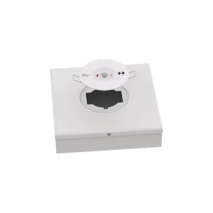 High Brightness 475lm Emergency Light D80 Surface Mounted 3W 3H LiFePO4 CE SAA UKCA RoHS AS2293 for Hotel School Office