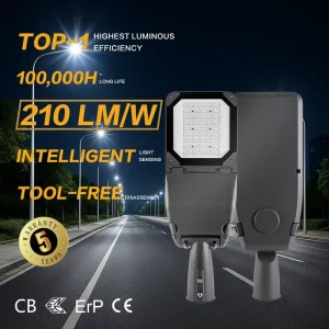 High Performance LED Street Lamp For City Council Street Lighting Projects In South America And Africa