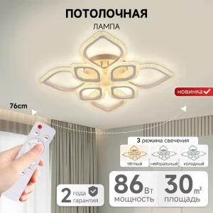 Home Living Room Corridor Decorative Ceiling Lamp Smart Modern Surface Mount Remote Control LED Ceiling Light