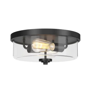 Home Living Room LED Ceiling Light Black Indoor Decorative Ceiling Lights