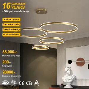 Home Living Room LED Circle Chandelier Pendant Light