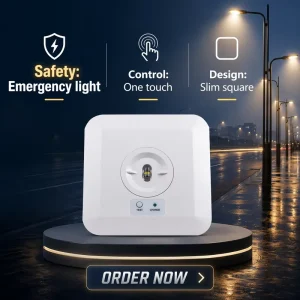 IP65 Ceiling Mount Emergency LED Light 220-240V Emergency Lamp With Replaceable for Corridor and Open Space