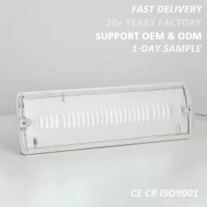 IP65 Emergency Bulkhead Light 85-265V Rechargeable Wall Mounted Exit Sign Emergency Light for Hospital Hotel School