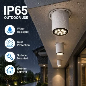 IP65 Exterior LED Surface Mount Downlight No Recess Cut for Building Facade Eave Outdoor Ceiling Lighting