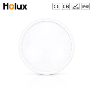 IP65 IK10 LED Ceiling Light 3000K 4000K 1200lm PC Housing IES LDT Available