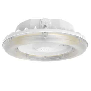 IP65 Rated 5 Year Warranty Dimmable Tunable LED Garage Canopy Light 40 30 20W 100 80 60W CRI 70 150 Beam Angle Gas Station AC