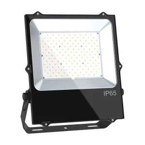 IP65 SMD Commercial 50W 240W 5 Year Warranty 5000K 120 Beam Angle LED Outdoor Flood Light for Stadium Gym