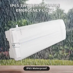 IP65 Waterproof 180mins 3W Hotel Bulkhead Emergency Light Rechargeable Exit Sign Led Plastic 4 Year Warranty Factory Price