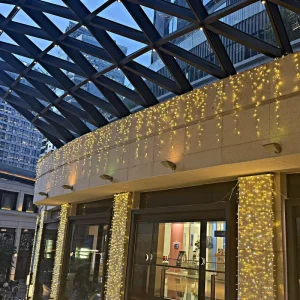 IP65 Waterproof 220V 10m LED Icicle String Lights for Outdoor Commercial Christmas and New Year Lights Decoration