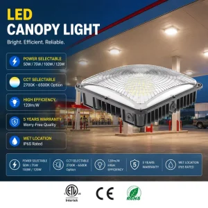 IP65 Waterproof LED Canopy Fixture Outdoor Surface Mounted Light 50W 75W 100W 120W for Parking Lot Garage Gas Station Projects