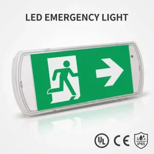 IP65 Waterproof Plastic LED Emergency Exit Light Wall Mounted Recessed High Performance Emergency Lighting System Sign 4 Year