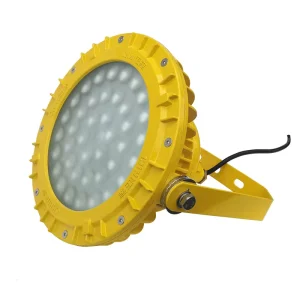 IP66 LED Flood Light High Efficiency Explosion Proof Industrial Lighting Fixture 20W 30W 40W 6000K Daylight for Marine Offshore