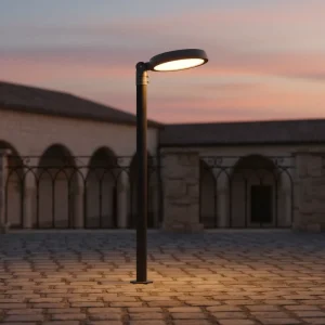 IP66 Waterproof Street Garden Lights for Outdoor Spaces Urban 70W 100W LED Area Street Lights