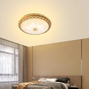 Indoor Bedroom Living Room Modern Ceiling Light Surface Mounted LED Ceiling Lamp