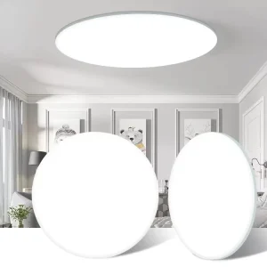 Indoor China Plastic Round Shape Morden Frameless Design Ultra thin Led Ceiling Light Fixture for Bedroom Lamp