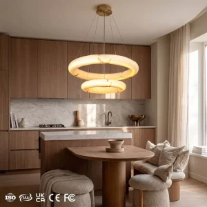 Indoor Decor Stainless Steel Resin Pendant Light Home Villa Dining Living Room Modern Simple LED Ring Hanging Chandelier