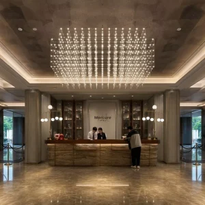 Indoor Decoration Fixture Exhibition Hall Ballroom Hotel Villa Bar Non standard LED Chandelier Light