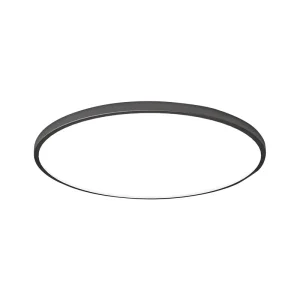 Indoor Living Room Round LED Light Ceiling Dimmable Remote Ultra Thin Ceiling Lamp LED Ceiling Light