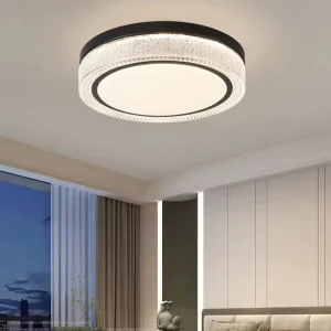 Indoor Round Ceiling Lamp Bedroom Living Room Flush Mounted 5CCT Dimming 24W Led Ceiling Light