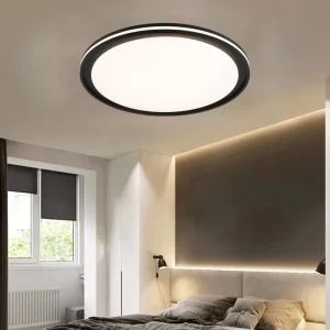 Indoor Round Modern Led Ceiling Light Fixtures Bedroom Living Room Matte Black Circle Iron Acrylic Dimmable LED Ceiling Lamp