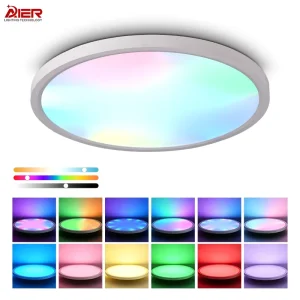 Indoor Ultra Slim Smart LED Ceiling Lamps RGB 3000K-6500K Adjustable 28W/38W/48W Surface Mounted for Dining Room Living Room