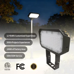Industrial Aluminum IP65 LED Floodlight 30W Motion Sensor Waterproof Security Spotlight for Garden Entrance