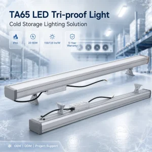 Industrial Cold Room LED Tri proof Light Flicker Free Waterproof IP66 4mm Tempered Glass Linear Batten 5 Year Warranty for