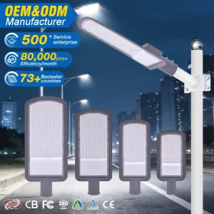 Industry Lighting Outdoor Waterproof IP66 3030 SMD Aluminium 30W 40W 50W 80W 100W 120W LED Streetlight