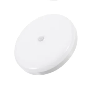 Intelligent LED Sensor Night Light Wall Closet Bathroom Motion Sensor Body Induction LED Ceiling Light