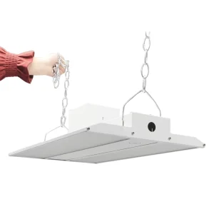 Intertek TUV CE SAA CB GS DLC High Ceiling Linear High Bay Led Light Indoor Sport and Exhibition Industrial Lighting 300